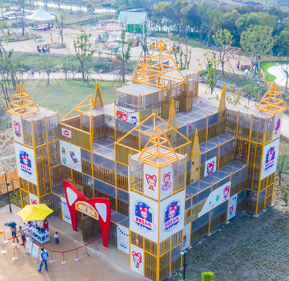 图片10